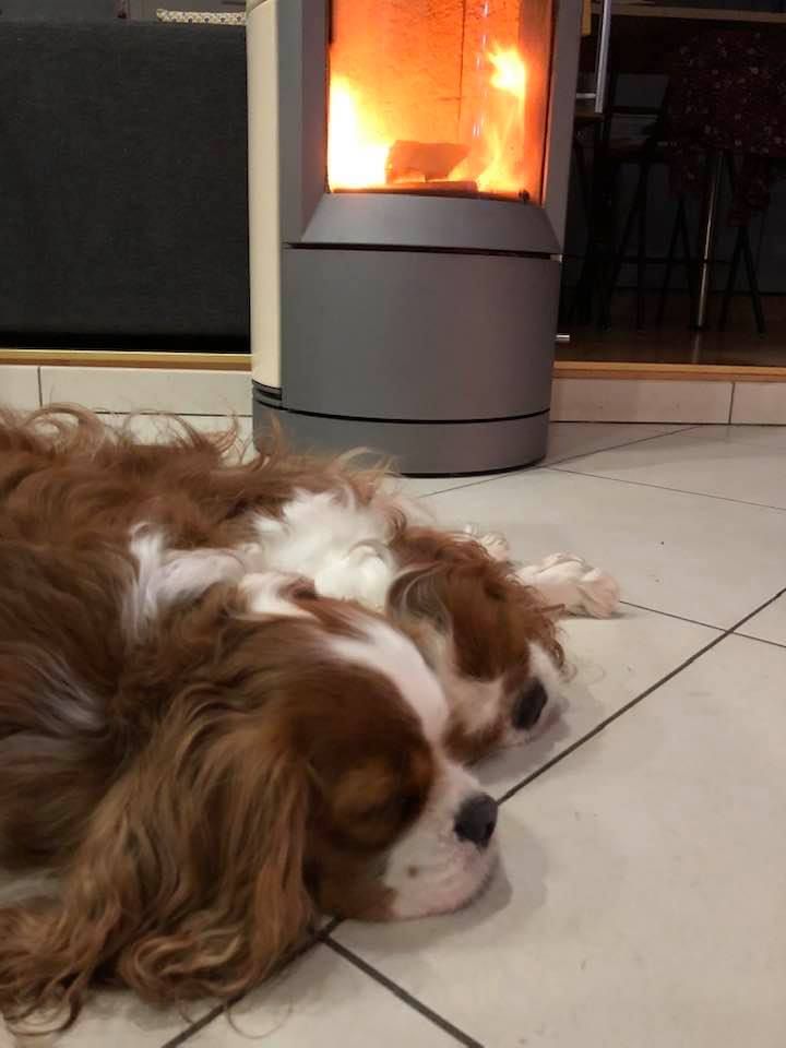des cavaliers de cecvan - Léna et Ollie