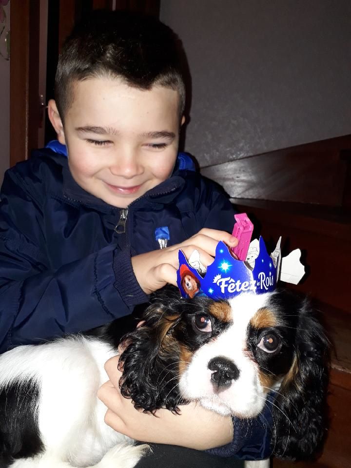 des cavaliers de cecvan - Princesse Neya