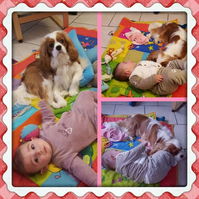 des cavaliers de cecvan - J'adore et son petit bonhomme