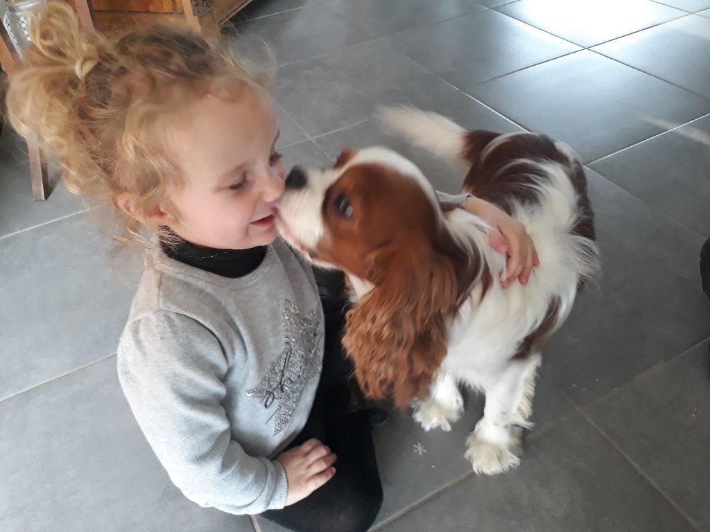 des cavaliers de cecvan - Adorable